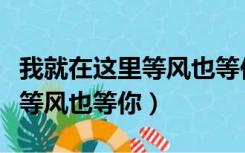 我就在这里等风也等你全文阅读（我就在这里等风也等你）