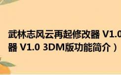 武林志风云再起修改器 V1.0 3DM版（武林志风云再起修改器 V1.0 3DM版功能简介）