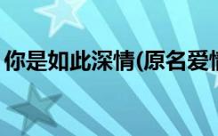 你是如此深情(原名爱情远了婚姻还在)纪尚流