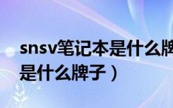 snsv笔记本是什么牌子的电脑（snsv笔记本是什么牌子）