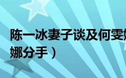 陈一冰妻子谈及何雯娜（陈一冰为什么跟何雯娜分手）