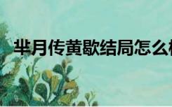 芈月传黄歇结局怎么样（芈月传黄歇结局）