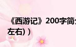 《西游记》200字简介（概述 西游记 (200字左右)）