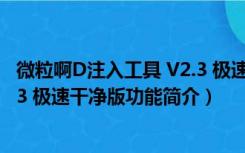 微粒啊D注入工具 V2.3 极速干净版（微粒啊D注入工具 V2.3 极速干净版功能简介）