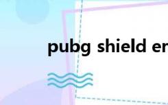 pubg shield error in essential