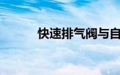 快速排气阀与自动排气阀的区别