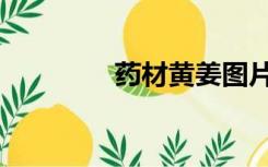 药材黄姜图片（黄姜图片）