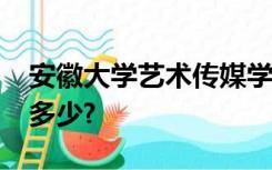 安徽大学艺术传媒学院2022年教育经费投入多少?