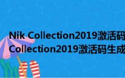 Nik Collection2019激活码生成器 V1.0 绿色免费版（Nik Collection2019激活码生成器 V1.0 绿色免费版功能简介）