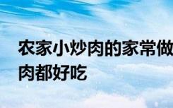 农家小炒肉的家常做法,这味道太香了,比回锅肉都好吃