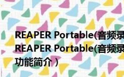 REAPER Portable(音频录制编辑软件) V5.40 中文破解版（REAPER Portable(音频录制编辑软件) V5.40 中文破解版功能简介）