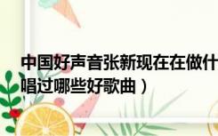 中国好声音张新现在在做什么（中国好声音 张新资料 张新唱过哪些好歌曲）