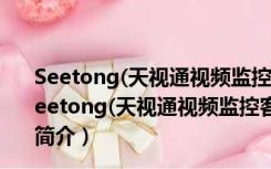 Seetong(天视通视频监控客户端) V1.0.3.2 官方最新版（Seetong(天视通视频监控客户端) V1.0.3.2 官方最新版功能简介）