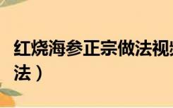 红烧海参正宗做法视频窍门（红烧海参正宗做法）