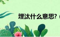 埋汰什么意思?（埋汰什么意思）