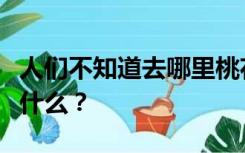 人们不知道去哪里桃花依旧对春风微笑意味着什么？