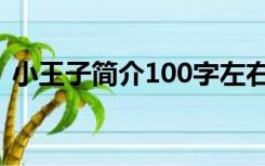 小王子简介100字左右（小王子简介100字）