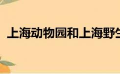 上海动物园和上海野生动物园哪个好玩一点