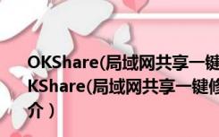 OKShare(局域网共享一键修复) V19.3.13 官方最新版（OKShare(局域网共享一键修复) V19.3.13 官方最新版功能简介）