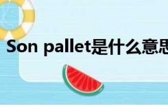 Son pallet是什么意思（pallet是什么意思）