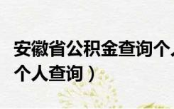 安徽省公积金查询个人帐户查询（安徽公积金个人查询）