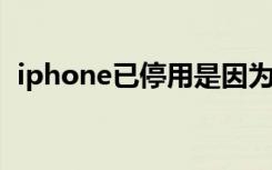 iphone已停用是因为什么（ipone已停用）