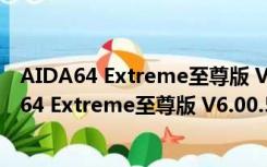 AIDA64 Extreme至尊版 V6.00.5100 中文免费版（AIDA64 Extreme至尊版 V6.00.5100 中文免费版功能简介）