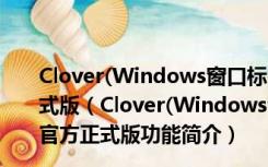 Clover(Windows窗口标签化工具) V3.5.2.19809 官方正式版（Clover(Windows窗口标签化工具) V3.5.2.19809 官方正式版功能简介）