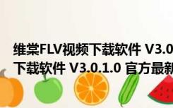 维棠FLV视频下载软件 V3.0.1.0 官方最新版（维棠FLV视频下载软件 V3.0.1.0 官方最新版功能简介）