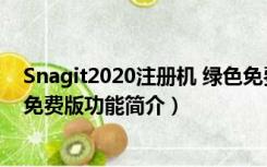 Snagit2020注册机 绿色免费版（Snagit2020注册机 绿色免费版功能简介）