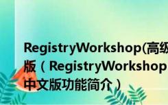 RegistryWorkshop(高级注册表编辑器) V5.0.1 官方中文版（RegistryWorkshop(高级注册表编辑器) V5.0.1 官方中文版功能简介）