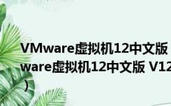 VMware虚拟机12中文版 V12.5.9 许可证密钥免费版（VMware虚拟机12中文版 V12.5.9 许可证密钥免费版功能简介）