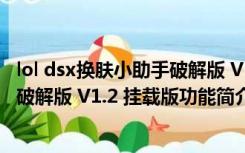 lol dsx换肤小助手破解版 V1.2 挂载版（lol dsx换肤小助手破解版 V1.2 挂载版功能简介）