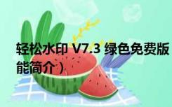 轻松水印 V7.3 绿色免费版（轻松水印 V7.3 绿色免费版功能简介）