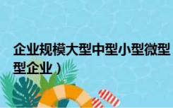 企业规模大型中型小型微型（大型企业中型企业小型企业微型企业）