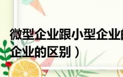 微型企业跟小型企业的区别（小型企业和微型企业的区别）