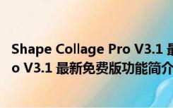 Shape Collage Pro V3.1 最新免费版（Shape Collage Pro V3.1 最新免费版功能简介）