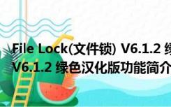 File Lock(文件锁) V6.1.2 绿色汉化版（File Lock(文件锁) V6.1.2 绿色汉化版功能简介）