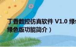 丁香数控仿真软件 V1.0 绿色版（丁香数控仿真软件 V1.0 绿色版功能简介）