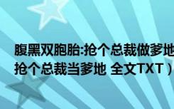 腹黑双胞胎:抢个总裁做爹地全文免费阅读（求 腹黑双胞胎 抢个总裁当爹地 全文TXT）