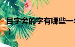 目字旁的字有哪些一年级（目字旁的字有哪些）