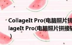 CollageIt Pro(电脑照片拼接软件) V1.9.4 绿色免费版（CollageIt Pro(电脑照片拼接软件) V1.9.4 绿色免费版功能简介）