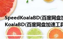 SpeedKoalaBD(百度网盘加速工具) V7.1 免费版（SpeedKoalaBD(百度网盘加速工具) V7.1 免费版功能简介）