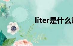 liter是什么意思（liter）