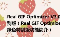 Real GIF Optimizer V3.05 (GIF动画压缩工具) 汉化绿色特别版（Real GIF Optimizer V3.05 (GIF动画压缩工具) 汉化绿色特别版功能简介）