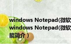 windows Notepad(微软记事本) V11.2110 官方最新版（windows Notepad(微软记事本) V11.2110 官方最新版功能简介）