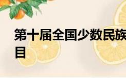 第十届全国少数民族传统体育运动会 表演项目