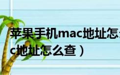 苹果手机mac地址怎么查2021（苹果手机mac地址怎么查）