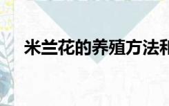 米兰花的养殖方法和注意事项 百度网盘