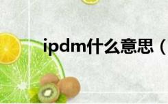 ipdm什么意思（ipm是什么意思）